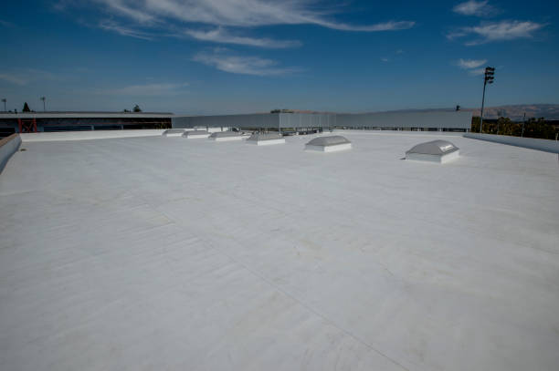 Best Skylight Installation and Repair  in Horse Pasture, VA