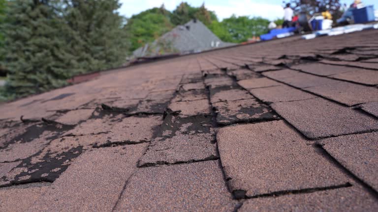Best Commercial Roofing Services  in Horse Pasture, VA