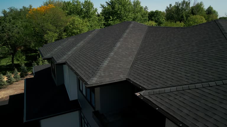 Best Sheet Metal Roofing  in Horse Pasture, VA