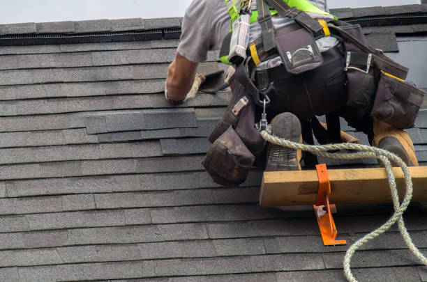 Best Storm Damage Roof Repair  in Horse Pasture, VA