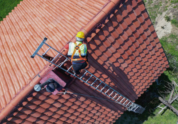 Best Roof Ventilation Installation  in Horse Pasture, VA