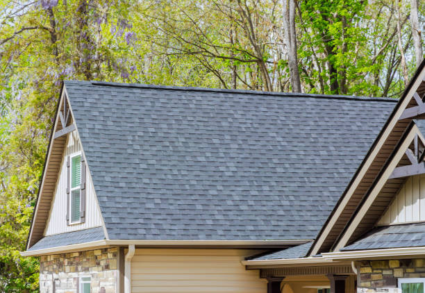 Best Chimney Flashing Repair  in Horse Pasture, VA