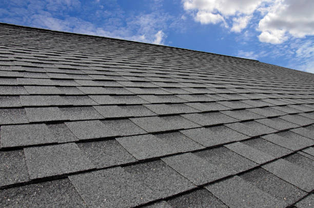 Best Metal Roofing Installation  in Horse Pasture, VA
